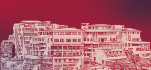 What Makes DY Patil Online BCA Different from Other Online BCA Programs?